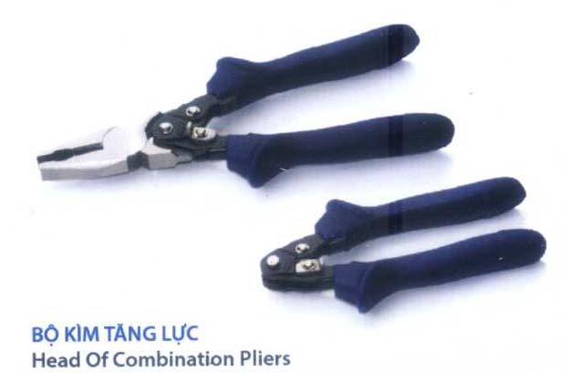 Head of combination pliers with hand